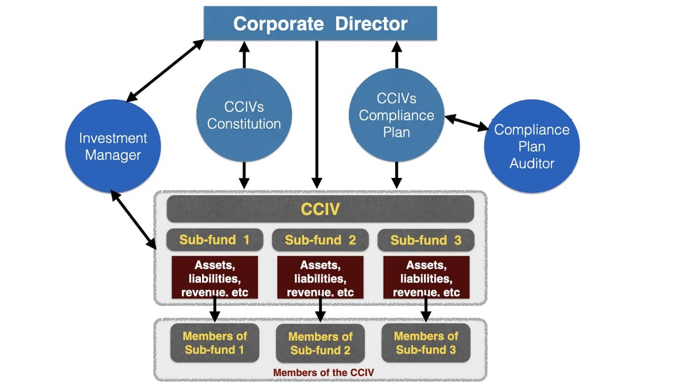 CCIV Process